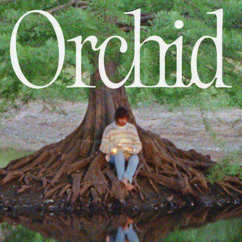 Orchid